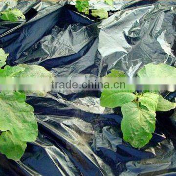 Black plastic mulch film with hole