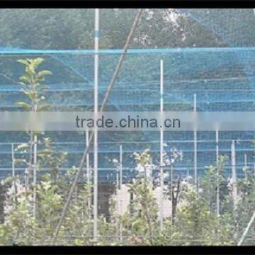 plastic BOP netting as Fruit cage/Anti bird net/Plant protection net