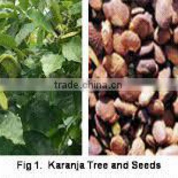 Karanja oil,Pungam oil, Pongammia Glabra,Pungam seed oil