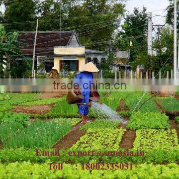 Genuine Neem Oil