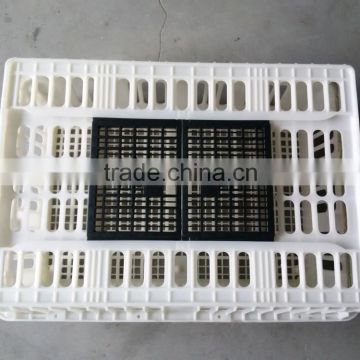 plastic chicken layer cage for sale