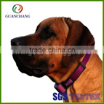 Tpu polyurethane coated nylon dog collar