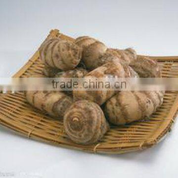 New Crop Taro Wholesale With Competitive Export Price