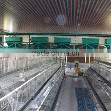 poultry fram chicken layer cage automatic feeder