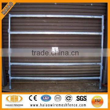 1.8 M 6 Rails oval cattle yard panels