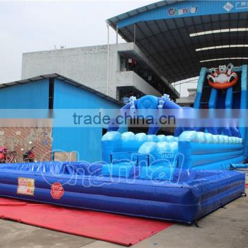 High quality best selling buy commercial inflatable huge blow up water slides                        
                                                                                Supplier's Choice