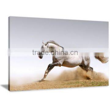 Frame Horse Animal Canvas Printing Art Painting Wall Decor DWYS11