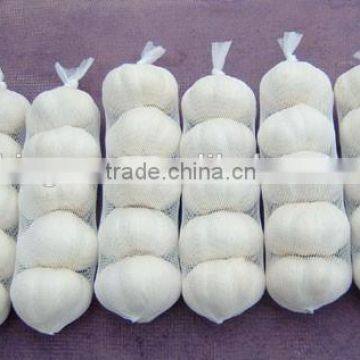 Supply pure white garlic with good quality for sale