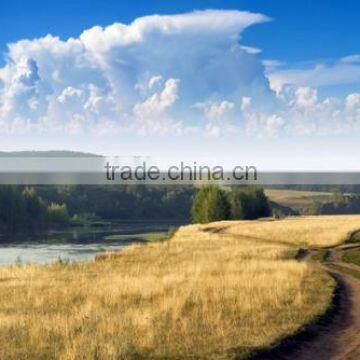 CS02 Modern Home Decoration Handmade Scenery Oil Painting On Canvas