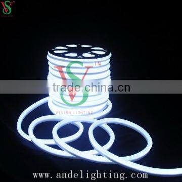 CE RoHS GS SAA Approved Waterproof Flexible Tube LED Neon Light photo-3