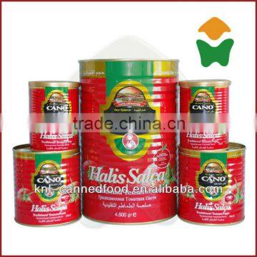 Canned Tomato Paste 28-30% Brix,tinned Tomato Paste 400gx24tins photo-1