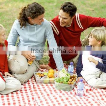 outdoor plastic vinyl picnic mat with red checked design