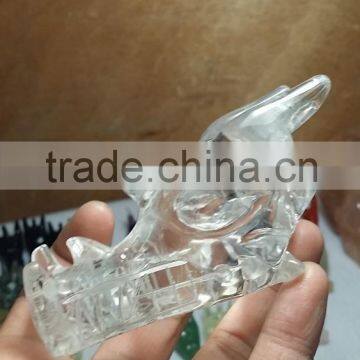 Amazing Natural Small Size Clear White Quartz Crystal Dragon Skull for Decoration