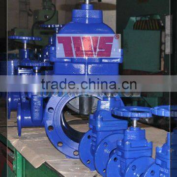 DN40-DN600 Series WZ Resilient Seated Locking Gate Valve