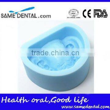 Plaster Model Mold Dental Eduction Assistant No. DEA-11