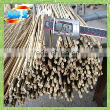 Bamboo cane for flower