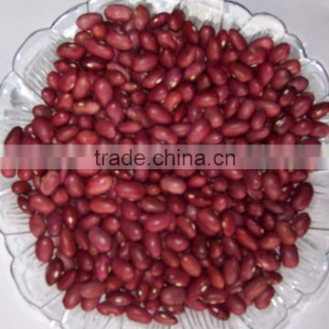 Japanese Red Kidney Bean-2013 new crop factory supplying