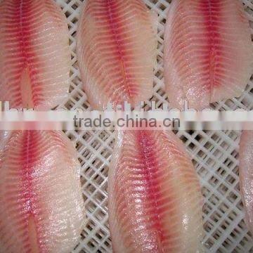 Frozen Tilapia Fillet