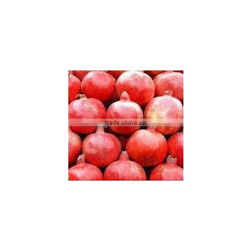 2014 High Quality pomegranate extract Ellagic Acid and Punicalagins-pomegranate juice bulk