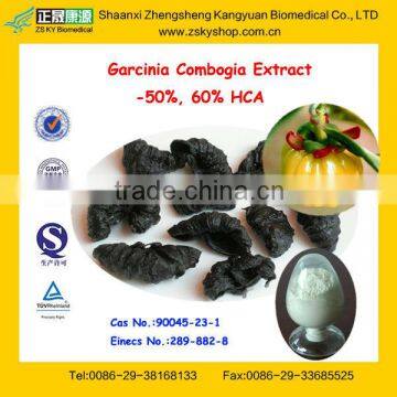 GMP Factory Supply High Quality Garcinia Cambogia Extract