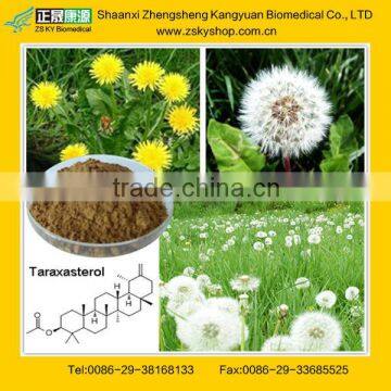 Dandelion Extract 1%-25% Taraxasterol / 3%, 4%,5%,10%,20% Flavones