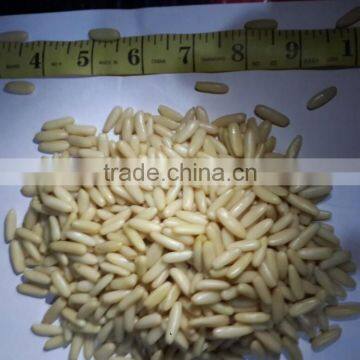 Europe Quality Pine Nuts Kernel