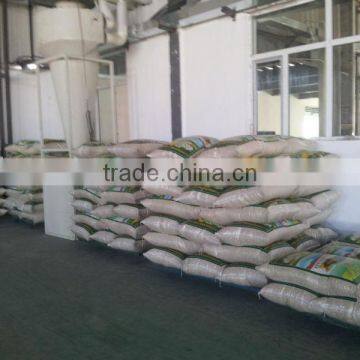 Chinese Hybrid Sunflower Seed for Planting photo-4