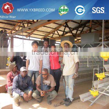 20000 Layer Farm Equipment Large Scale Automatic Project photo-3