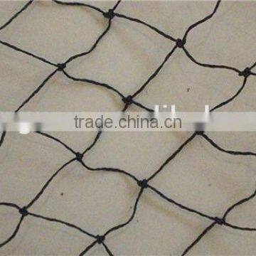 Long Life Quality Guarantee Agricultural Bird Catching Net Mesh Cloth photo-6