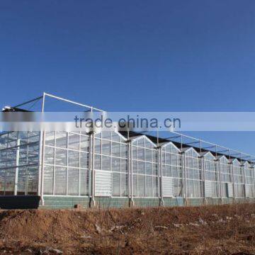 China Direct Selling Beautiful High Quality Venlo Greenhouse Can be Used to Planting Grows