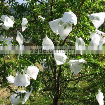 Light weight fruit cover