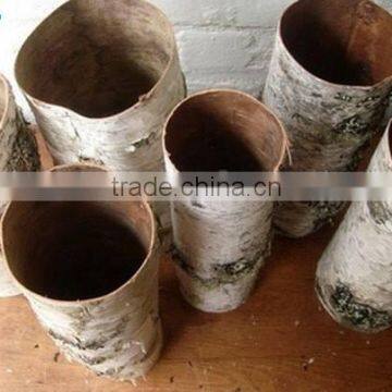 Birch Bark Cylindrical Garden Flower Pot for Home Decoration photo-2