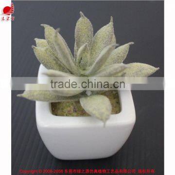 Cute artifiical mini succulent with ceramic pot