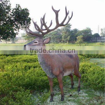 Red Deer Stag photo-6