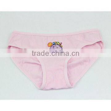 Children's Underwear Models Teen Underwear Girl Sexy Underwear photo-2