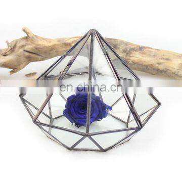 terrarium geometric glass terrarium wholesale