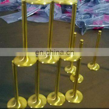 High Grade Racing Stainless Steel Intake Engine Valve for BMW 5 6 Series E60 M5 m6 E63 E64 M6 507HP V10 Bare Engine S85B50A photo-6