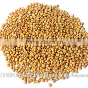 Calopogonium Mucunoides Leguminous Cover Crop