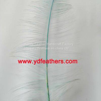 Burnt Ostrich Feather Plume Dyed Green from China