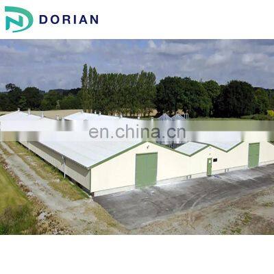 Poultry Steel Structure Shed Construction Chicken Sheds photo-5