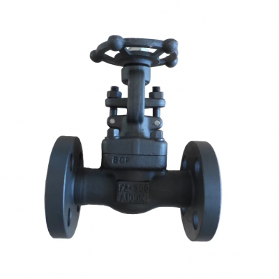 China Factory Price API 602 Forged Steel High-pressure Gate Valve A105n Npt Thread Globe Valve for Oil Gas photo-2