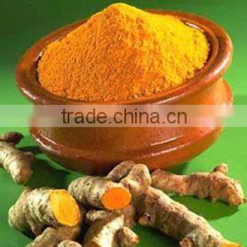 ISO Certified Turmeric Powder Bulk Exporter From India