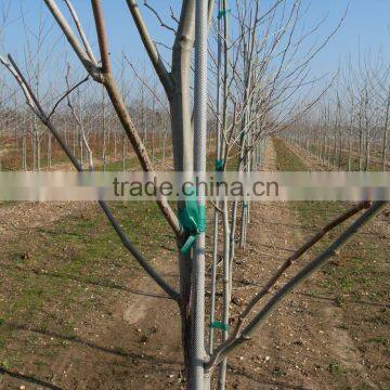 Fiberglass Stake With Pencil Point photo-2