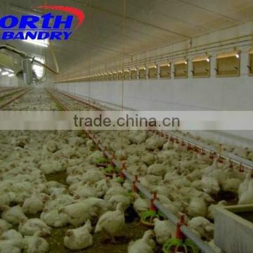 low cost structural steel fabrication poultry chicken house for broilers