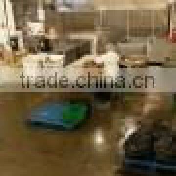 Dungeness Crab photo-6