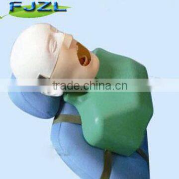 dental manikin phantom head/Dental Training Head Simulator Manikin with Torso for student