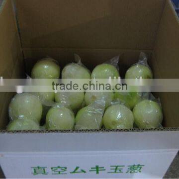 2014 seasonable fresh onion in different pack