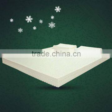 Anti Decubitus Mattress