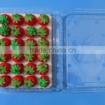 Punnet Clamshell Blister Plastic Packaging Container 500 Gram photo-2