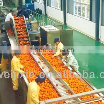 orange fruit production line